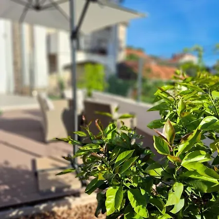 Dalmatia Holidays Adventure Apartman